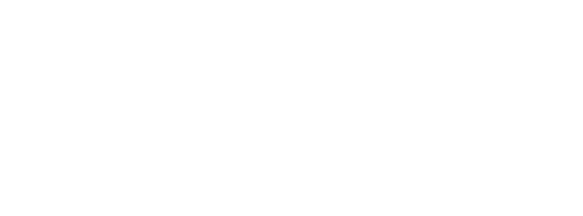 Fly media